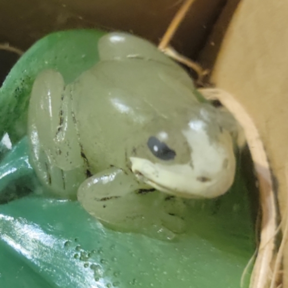 Amscan Home In The Garden Frogs On Lilypads Floating Scented Green Wax Candles - Picture 2 of 5